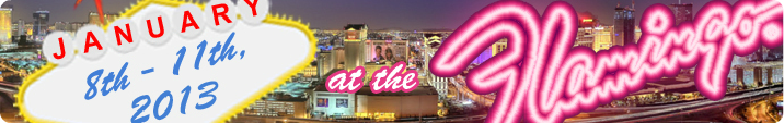 CES / T.H.E. Show Las Vegas 2013